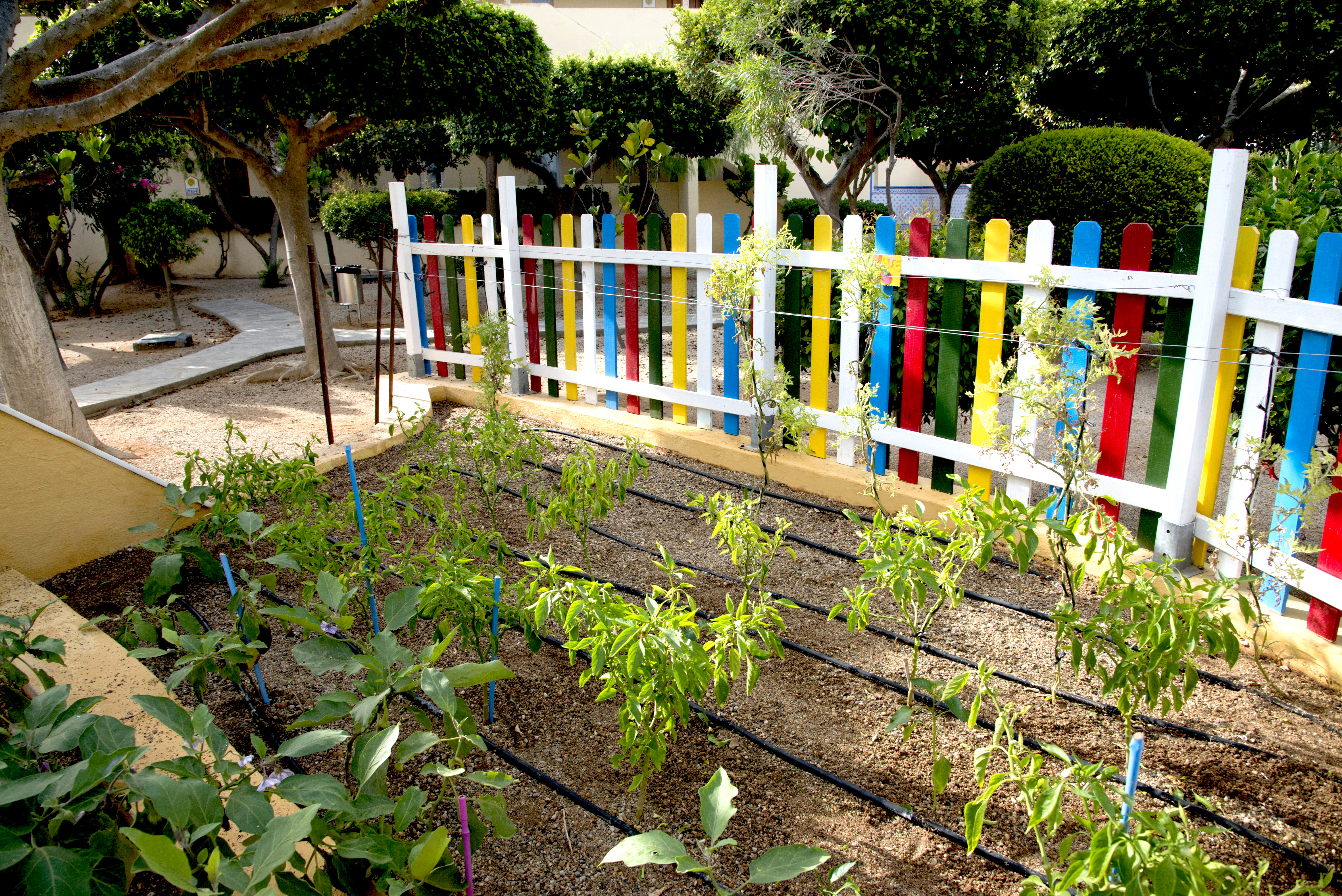 001_alta_Playasol Huerto.jpg